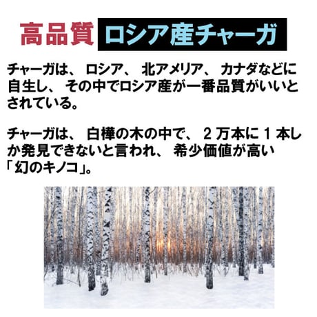 ペット用 サプリメント チャーガ丸  カバノアナタケ 桑の葉配合 飲みやすい 粒タイプ 800粒入り 70g 健康プラス 韓国製