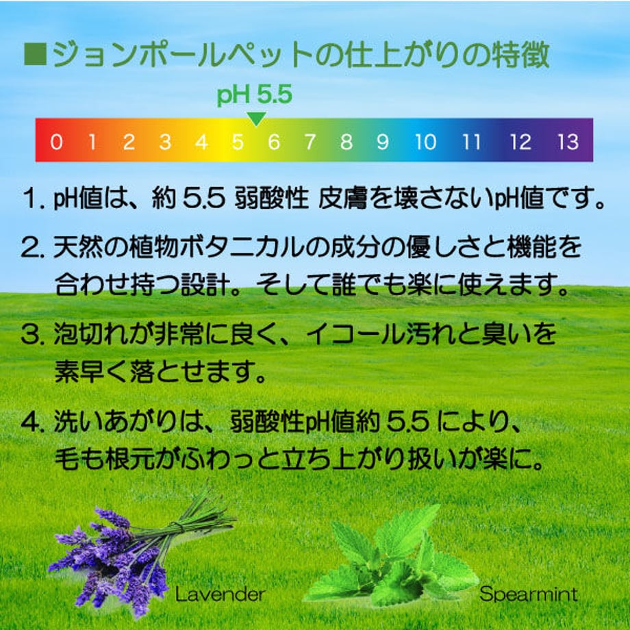 61b97c58b91b757e7600be18
