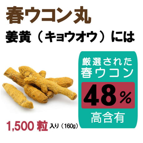 期限切迫品　春ウコン丸 キョウオウ クルクミン 山査子の実 米糠 飲みやすい 粒タイプ 1500粒入り 健康プラス 韓国製 サプリメント