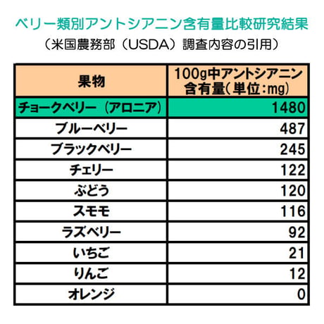 期限切迫品　チョークベリー丸 アロニア 目の健康 薄荷 決明子 アントシアニン 飲みやすい 粒タイプ 1500粒入り 健康プラス 韓国製 サプリメント