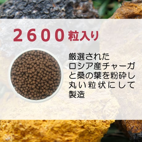 期限切迫品　チャーガ丸  カバノアナタケ 桑の葉配合 飲みやすい 粒タイプ 2600粒入り 健康プラス 韓国製 サプリメント