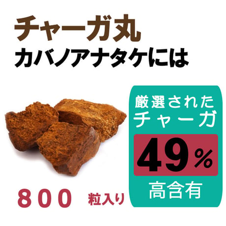 チャーガ丸  カバノアナタケ 桑の葉配合 飲みやすい 粒タイプ 800粒入り 70g 健康プラス 韓国製 サプリメント