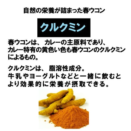 期限切迫品　春ウコン丸 キョウオウ クルクミン 山査子の実 米糠 飲みやすい 粒タイプ 1500粒入り 健康プラス 韓国製 サプリメント