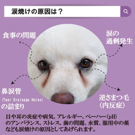 ペットアイズ 犬用 目の栄養サプリメント 涙焼け 眼のため フリーズドライ チキン味 白内障 35粒入り peteyez