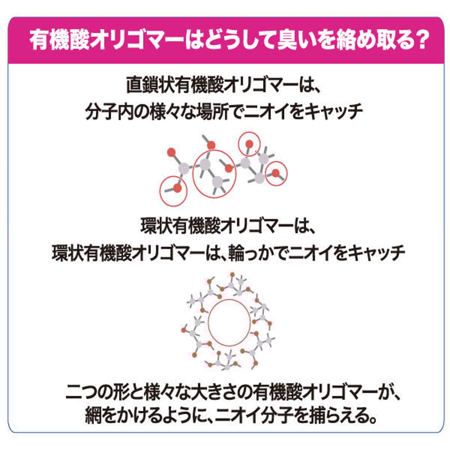 5ffbe2ddf0b108050a0fbc5a