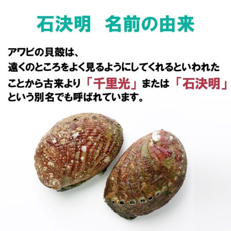 人用 眼のサプリメント 石決明 せつけつめい 1500粒入り 180g  食品素材  目のサプリ  アワビの貝殻 高含有 決明子 枸杞の実 飲みやすい  韓国製 健康プラス