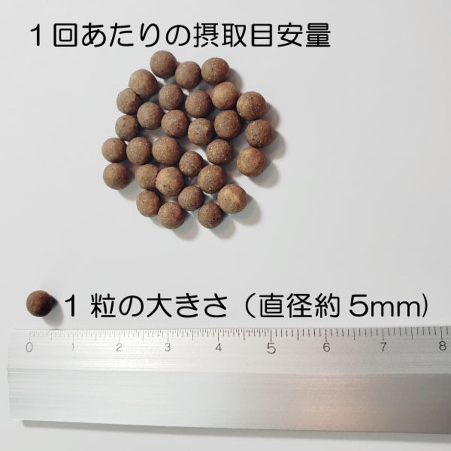 646c6ec412d039002a10fd6a