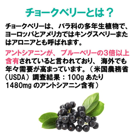 期限切迫品　チョークベリー丸 アロニア 目の健康 薄荷 決明子 アントシアニン 飲みやすい 粒タイプ 1500粒入り 健康プラス 韓国製 サプリメント