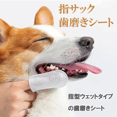 ペットキン ピーナッツバター味 フィンガーティップワイプ  歯用 指にはめて使う 使いやすい マイクロファイバーウェットシート 50枚入り petkin