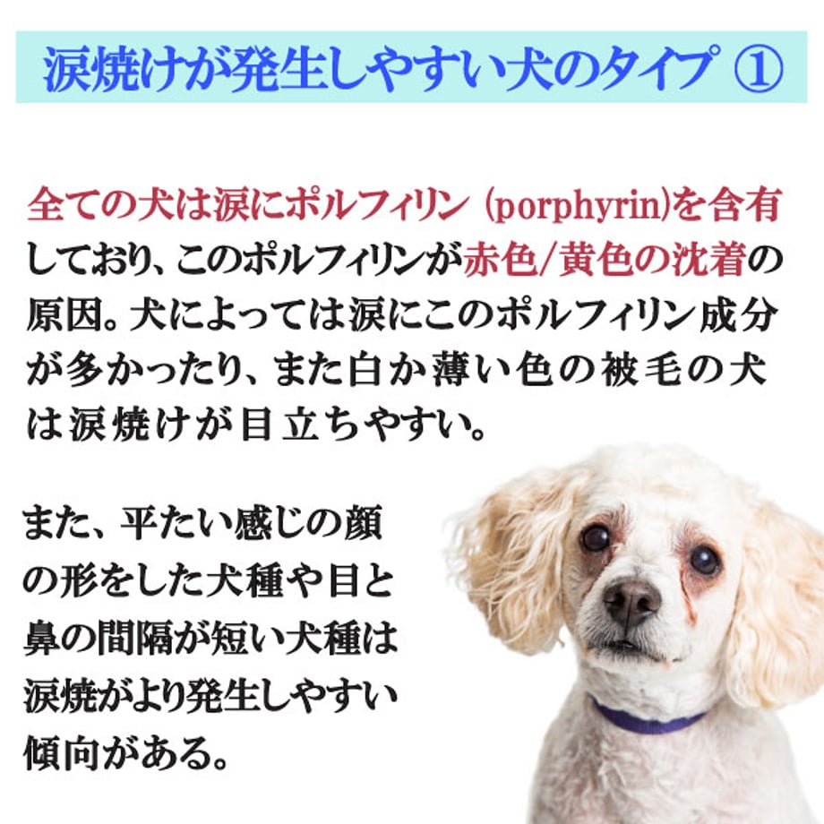 646af0aeff05040034d584e3