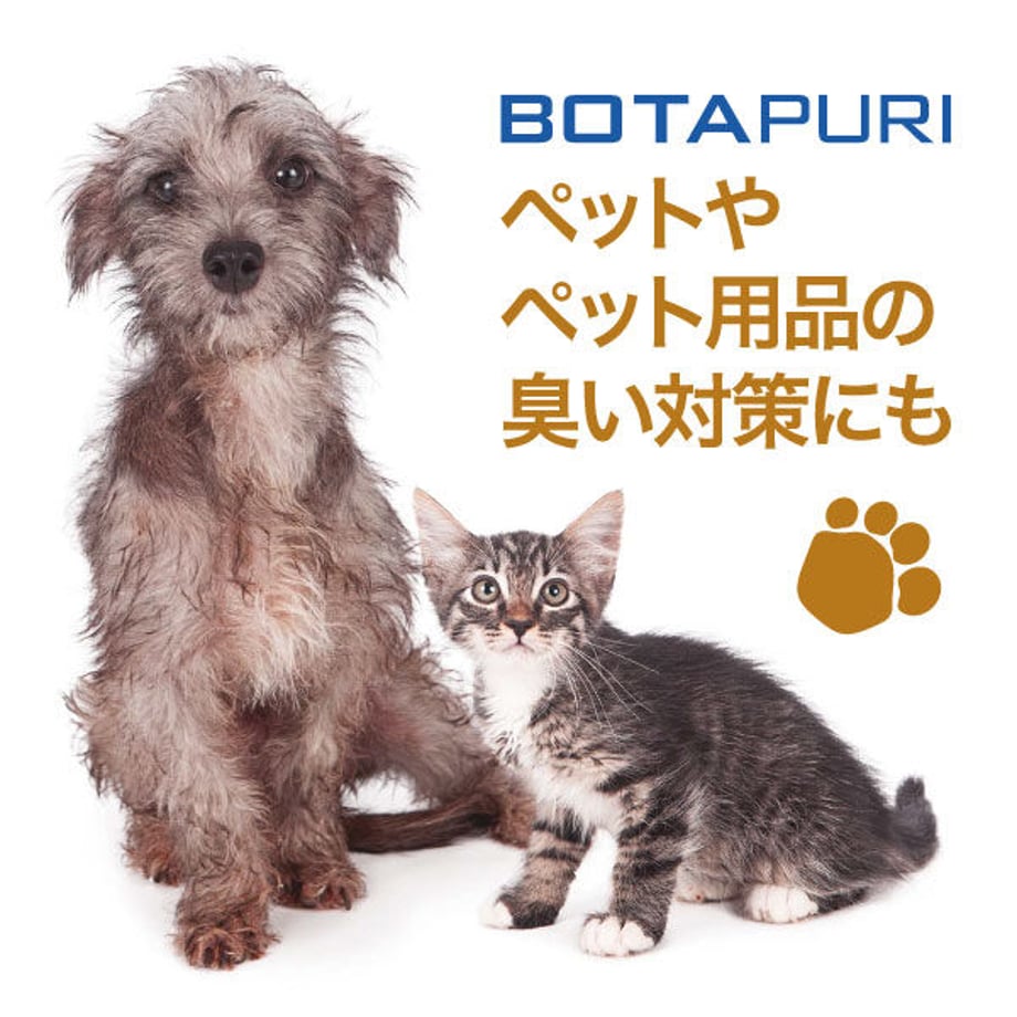 5ffbe2ddf0b108050a0fbc5a