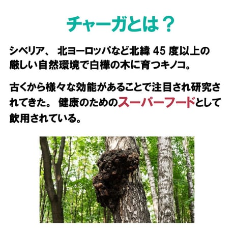チャーガ丸  カバノアナタケ 桑の葉配合 飲みやすい 粒タイプ 800粒入り 70g 健康プラス 韓国製 サプリメント