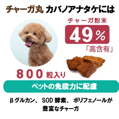 ペット用 サプリメント チャーガ丸  カバノアナタケ 桑の葉配合 飲みやすい 粒タイプ 800粒入り 70g 健康プラス 韓国製