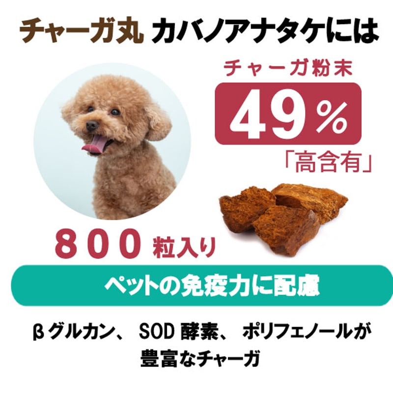 ペット用 サプリメント チャーガ丸 カバノアナタケ 桑の葉配合 飲み 