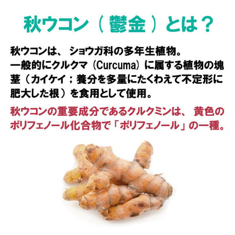 期限切迫品　秋ウコン丸 クルクミン みかんの皮配合 ポリフェノール 飲みやすい 粒タイプ 1800粒入り 健康プラス 韓国製 サプリメント