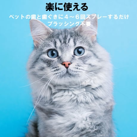 ペットキン 犬用 猫用デンタルスプレー 120ml デンタルケア 歯みがきの補助に  Petkin