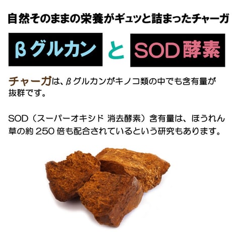 チャーガ丸  カバノアナタケ 桑の葉配合 飲みやすい 粒タイプ 800粒入り 70g 健康プラス 韓国製 サプリメント