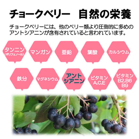 期限切迫品　チョークベリー丸 アロニア 目の健康 薄荷 決明子 アントシアニン 飲みやすい 粒タイプ 1500粒入り 健康プラス 韓国製 サプリメント