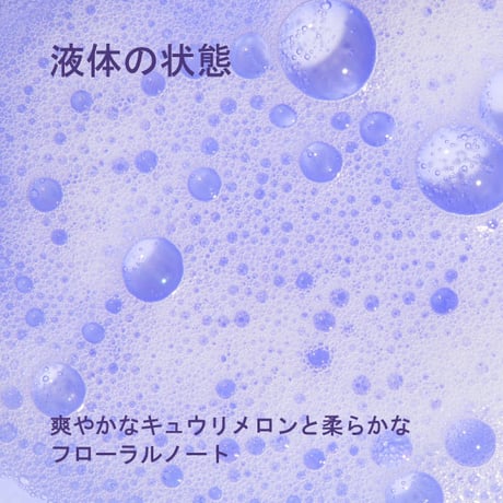 軽く明るいシャンプー ペット用 500ml 犬 猫 低刺激 毛並みケア 白毛 淡色毛 くすみ対策 ふんわり ポールミッチェルペット paul Michell Pet