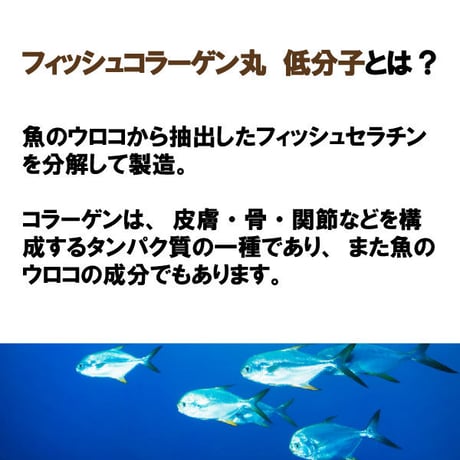 フィッシュコラーゲン丸 皮膚関節の健康 コラーゲンの摂取 飲みやすい  粒タイプ 1500粒入り 健康プラス 韓国製 サプリメント
