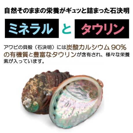 ペット用 眼のサプリメント 石決明 せつけつめい 500粒入り 70g  食品素材  アワビの貝殻 高含有 決明子 枸杞の実 飲みやすい  韓国製 健康プラス