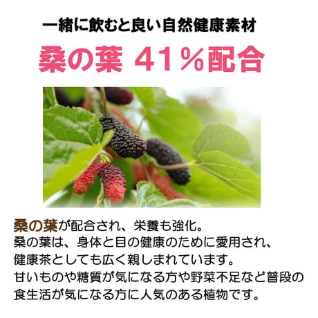 ペット用 サプリメント チャーガ丸  カバノアナタケ 桑の葉配合 飲みやすい 粒タイプ 800粒入り 70g 健康プラス 韓国製