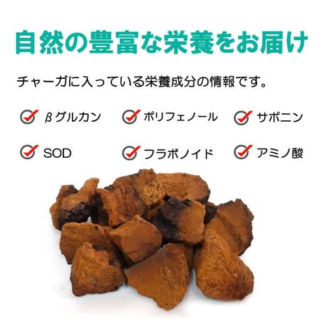 ペット用 サプリメント チャーガ丸  カバノアナタケ 桑の葉配合 飲みやすい 粒タイプ 800粒入り 70g 健康プラス 韓国製