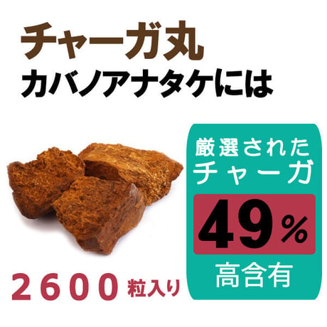 期限切迫品　チャーガ丸  カバノアナタケ 桑の葉配合 飲みやすい 粒タイプ 2600粒入り 健康プラス 韓国製 サプリメント