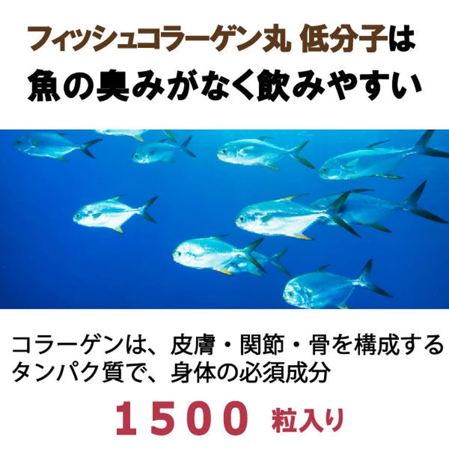 646c6ec412d039002a10fd6a