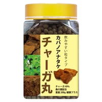 期限切迫品　チャーガ丸  カバノアナタケ 桑の葉配合 飲みやすい 粒タイプ 2600粒入り 健康プラス 韓国製 サプリメント