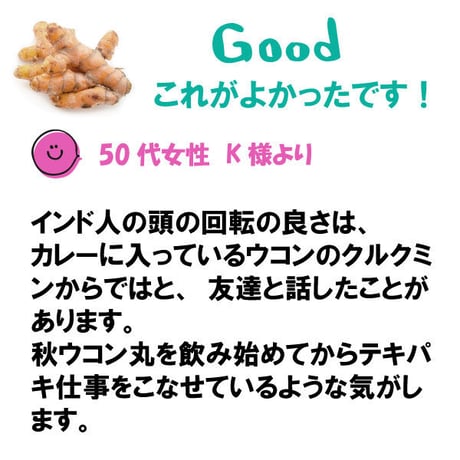 期限切迫品　秋ウコン丸 クルクミン みかんの皮配合 ポリフェノール 飲みやすい 粒タイプ 1800粒入り 健康プラス 韓国製 サプリメント