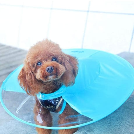 犬用  背中が傘のようなUFO レインコート サイズＳ ブルー かわいい