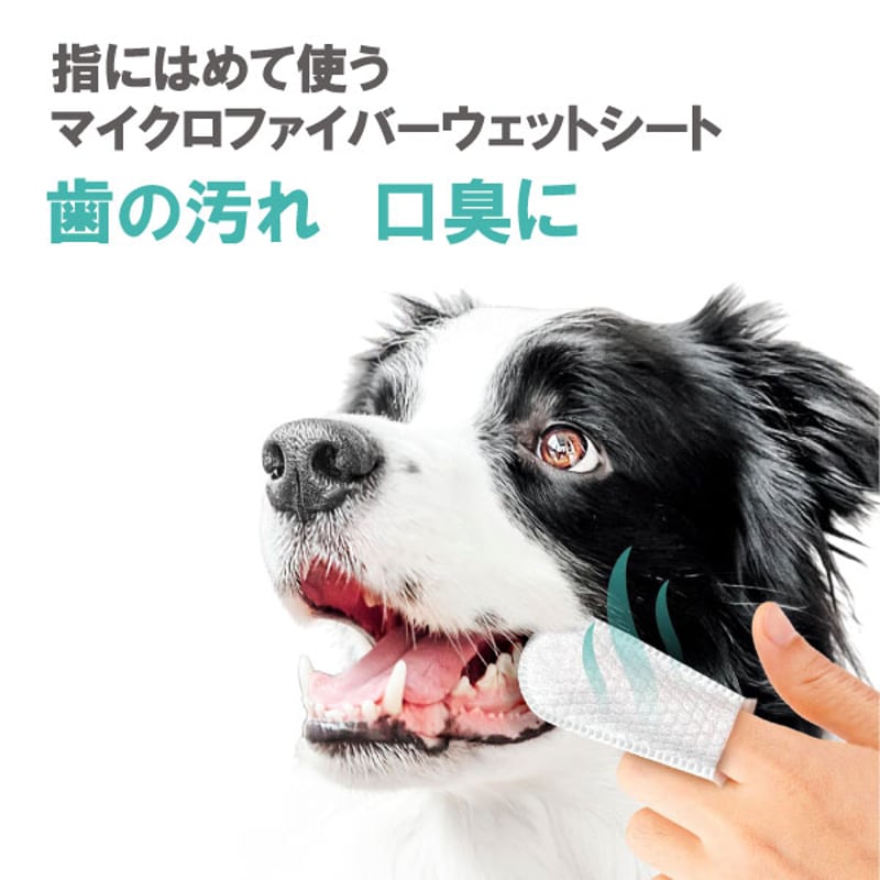 ペットキン フィンガーティップワイプ 歯用 指にはめて使う 使いやすい