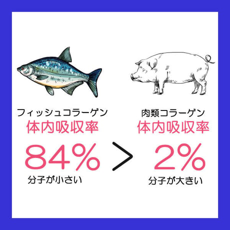 フィッシュコラーゲン丸 皮膚関節の健康 コラーゲンの摂取 飲みやすい  粒タイプ 1500粒入り 健康プラス 韓国製 サプリメント