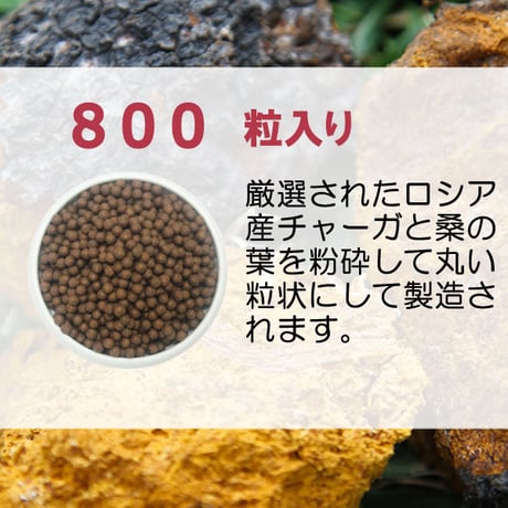 ペット用 サプリメント チャーガ丸  カバノアナタケ 桑の葉配合 飲みやすい 粒タイプ 800粒入り 70g 健康プラス 韓国製
