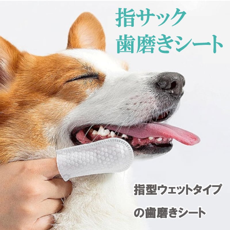 ペットキン フィンガーティップワイプ 歯用 指にはめて使う 使いやすい