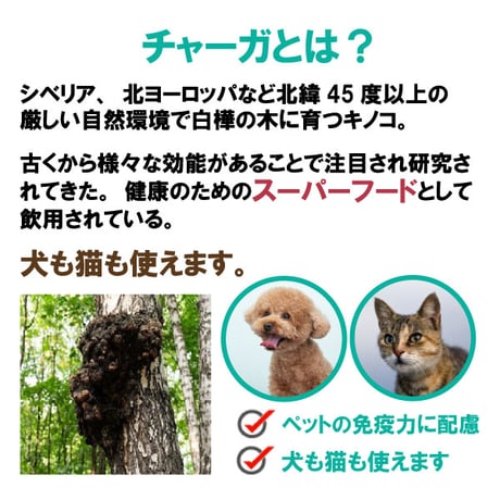 ペット用 サプリメント チャーガ丸  カバノアナタケ 桑の葉配合 飲みやすい 粒タイプ 800粒入り 70g 健康プラス 韓国製