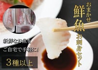 新鮮なお魚をご自宅で【おまかせ鮮魚お刺身セット】5000円コース