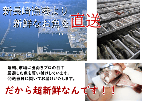 新長崎漁港直送【旬のおまかせ鮮魚ボックス】3種以上