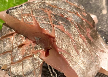 新鮮なお魚をご自宅で【おまかせ鮮魚お刺身セット】5000円コース