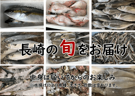 新長崎漁港直送【旬のおまかせ鮮魚ボックス】5種以上