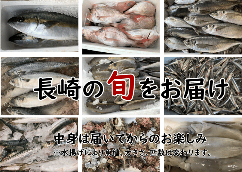 新長崎漁港直送【旬のおまかせ鮮魚ボックス】5種以上 | 長崎鮮魚ドットコム