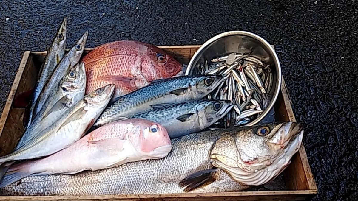 N agako様　御約定済　金魚のガラス　提げもの 金魚玉・クワイカの潮…Glass2H | 彩元堂：増永元 official site