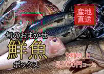 新長崎漁港直送【旬のおまかせ鮮魚ボックス】3種以上