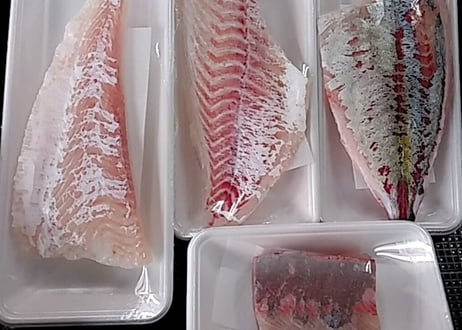 新鮮なお魚をご自宅で【おまかせ鮮魚お刺身セット】5000円コース