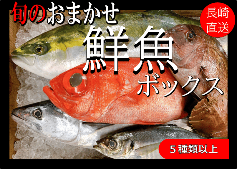 新長崎漁港直送【旬のおまかせ鮮魚ボックス】5種以上 | 長崎鮮魚ドットコム
