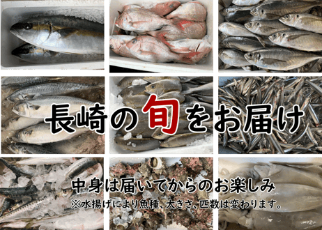 新鮮なお魚をご自宅で【おまかせ鮮魚お刺身セット】5000円コース