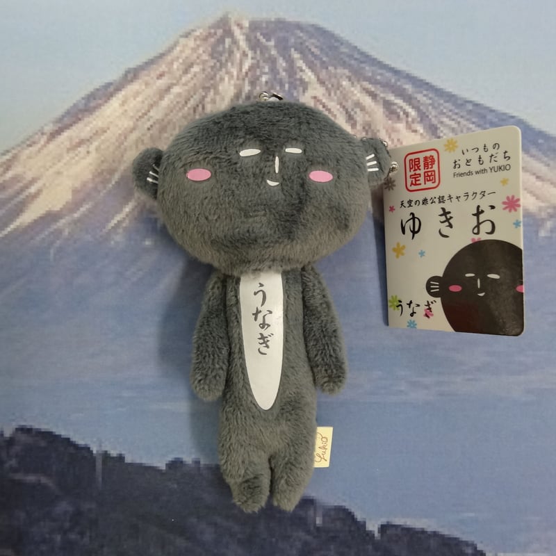静岡限定 ゆきお うなぎ | Fujikawa NEST