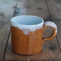 19世紀フランス モントロー ファイアンスフィーヌ オクトゴナル