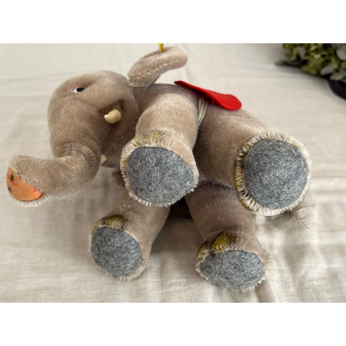 ドイツ シュタイフ社 ゾウさん ヴィンテージ | そら豆ガラス商店